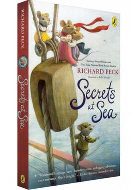 Secrets at Sea 海上的秘密 2011纽伯瑞金奖 暑期 儿童文学 章节书 悬疑探险 600L 平装 8-12岁 英文原版