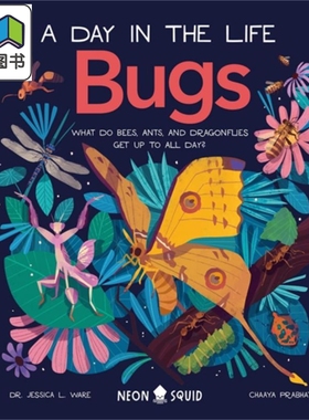 A Day in the Life Bugs 一天的小生活昆虫 英文原版儿童绘本 动物故事 Prabhat 大音