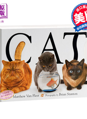 Matthew Van Fleet CAT 猫 英文原版 精装 动物操作书系列纸板书 进口童读物 低幼亲子趣味启蒙认知触摸游戏书 3-6岁
