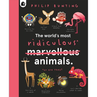 Philip Bunting The World’S Most Ridiculous Animals 世界上可笑的动物 英文原版儿童科普图书 动物主题  大音