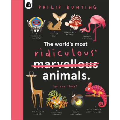 Philip Bunting The World’S Most Ridiculous Animals 世界上可笑的动物 英文原版儿童科普图书 动物主题  大音
