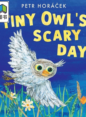 小猫头鹰的探险夜 Petr Horacek Tiny Owls Scary Day 英文原版 儿童绘本 动物故事书 精装精品绘本 进口童书 大音