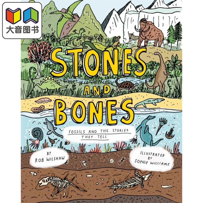 藏在化石中的历史 Stones and Bones Fossils and the stories they tell英文原版 儿童科普绘本精装自然科学读物 大音