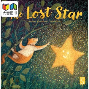 Marcin Minor The Lost Star失落之星英文原版儿童绘本 Przemyslaw Wechterowicz大音