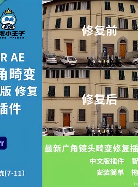 最新AE/PR插件鱼眼广角镜头畸变扭曲修复插件REVisionFX插件航拍