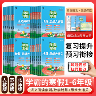 2026春学霸寒假语文阅读集训数学计算思维大通关一二三四五六年级人教苏教北师版