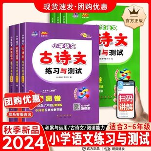小学语文古诗词阅读能力积累与运用练习与测试基础提高卷知识总结
