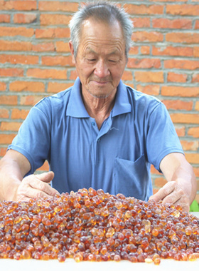 天然野生老树桃胶500克正品食用无杂质 桃胶雪燕皂角米组合