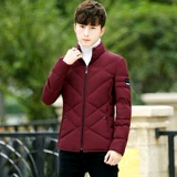 Зимняя хлопковая короткая куртка, трендовый пуховик с пухом, в корейском стиле