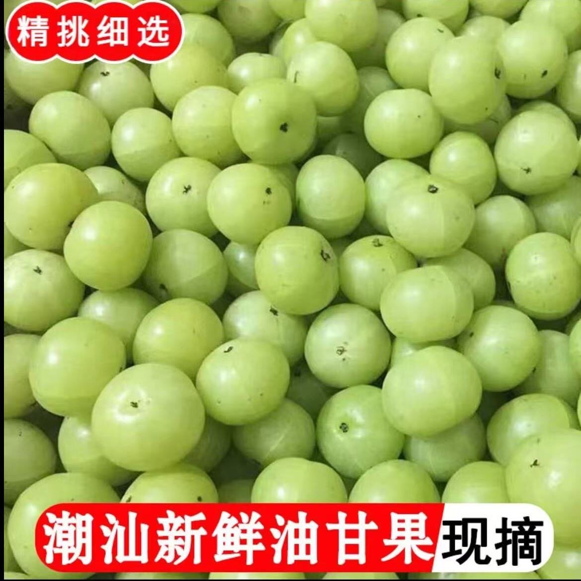翠绿新鲜采摘油甘余甘果牛甘果滇橄榄果余甘子回甘水果1斤包邮