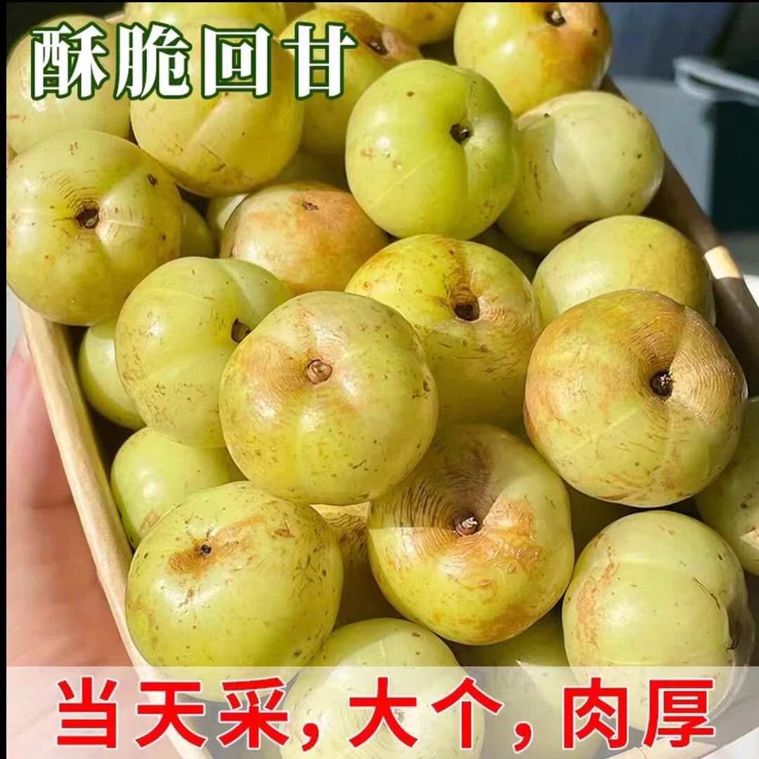 潮汕柿饼甜种大果油甘果余甘果牛甘果滇橄榄油甘1份包邮