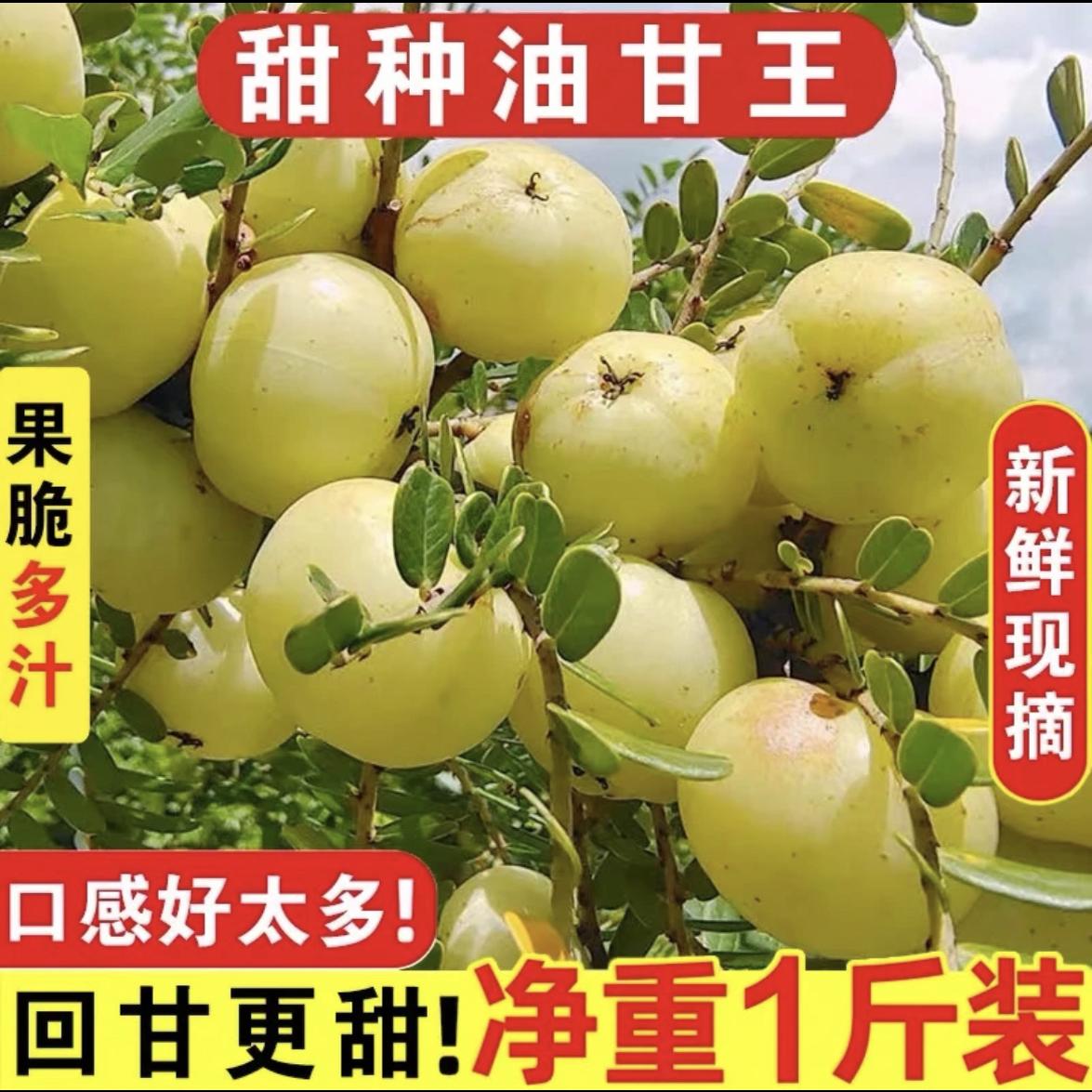 现摘甜种新鲜油甘果500g余甘果牛甘果滇橄榄油甘酸水果1份包邮