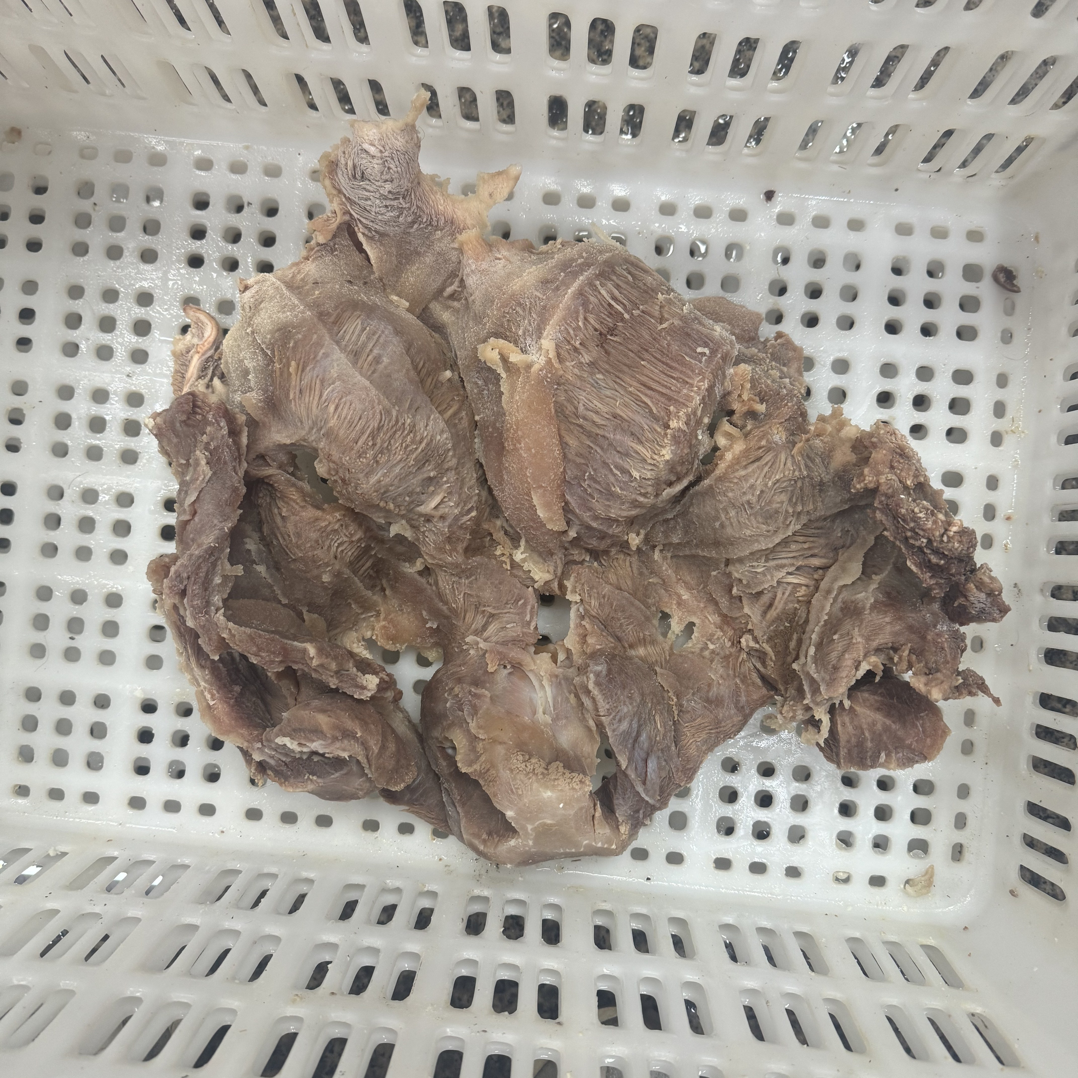 十斤牛头腩商用批发冷冻图片