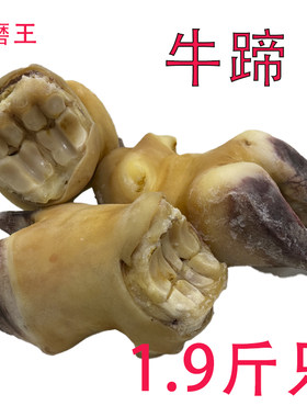 10只牛脚蹄带皮带筋带肉卤制牛杂摆滩餐饮烧烤火锅食材卤味原料