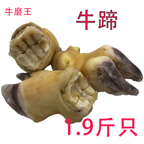10只牛脚蹄带皮带筋带肉卤制牛杂摆滩餐饮烧烤火锅食材卤味原料