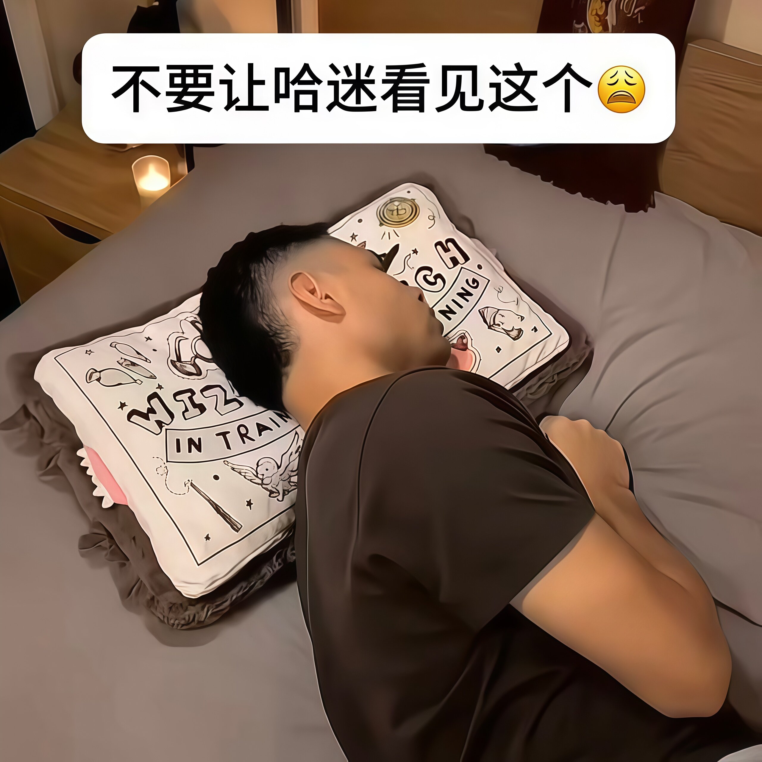 哈利波特怪物书毛绒抱枕图片