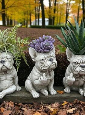 跨境GrumpyFrenchBulld