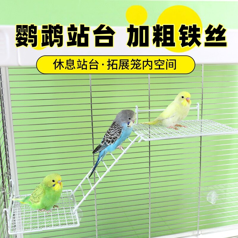 鹦鹉站台小鸟站架鸟笼鸽子休息平台铁艺配件鸟类用品跳板食台站网