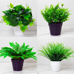 饰植物花卉摆件 仿真绿萝盆栽室内外落地仿生绿植塑料假花小盆景装