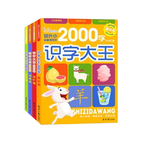 识字大王2000字幼升小必备常用字全套4册 基础儿童识字书学前识字幼儿早教启蒙宝宝看图认字幼儿园大班一年级简单汉字学字书籍