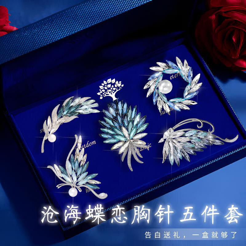 高级感轻奢胸针套装高档精致防走光胸花别针生日生日礼物送女友