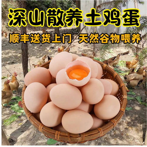 30枚土鸡蛋正宗农家散养100枚