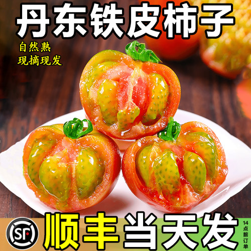 正宗丹东铁皮柿子草莓柿子西红柿