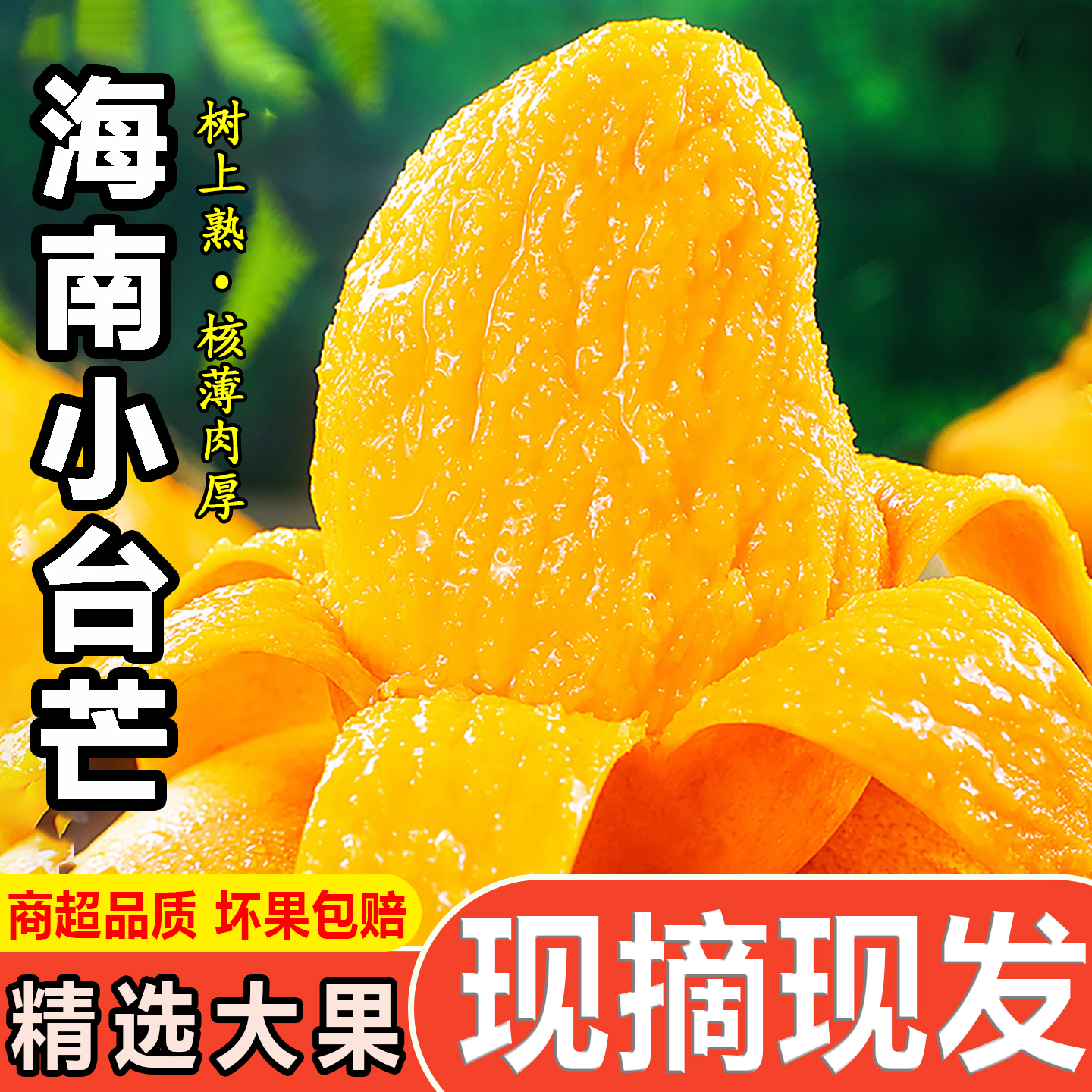 海南小台农台芒新鲜现摘大果9斤