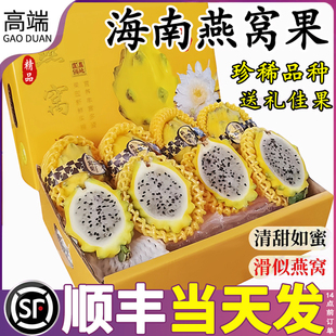 海南燕窝果新鲜水果当季孕妇水果滑似燕窝树上熟麒麟果黄金火龙果