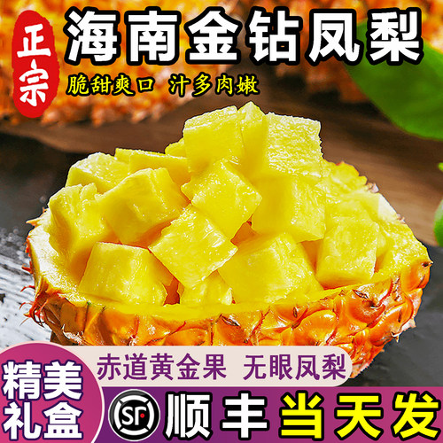 礼盒装正宗新鲜海南金钻凤梨9斤