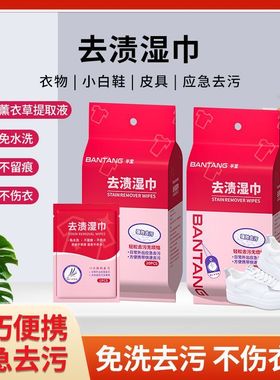 【下单立减30】羽绒服清洁湿巾衣物去渍湿巾免洗独立包装2