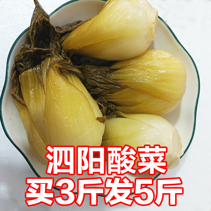 宿迁特产酸菜泗阳农家酸菜泗洪沭阳酸菜羊肉苏北特产淮安宿迁酸菜