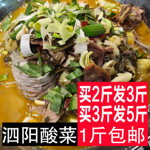 宿迁特产酸菜泗阳农家无盐酸菜泗洪沭阳酸菜1斤包邮买2发3 买3发5