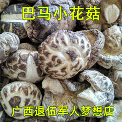 广西巴马小花菇干活250g 山区野生花菇香菇食用椴木香菇煲汤香菇