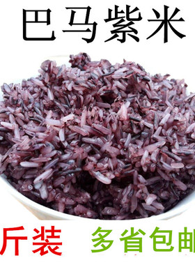 5斤装紫糯米紫米大米近期新米广西巴马农家自产 紫色米杂粮好吃