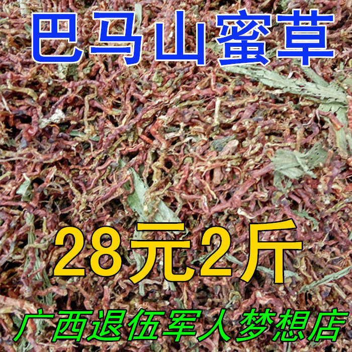 山蜜草 巴马山蜜草茶 山密草茶非云南山蜜茶配甜叶菊 凉茶