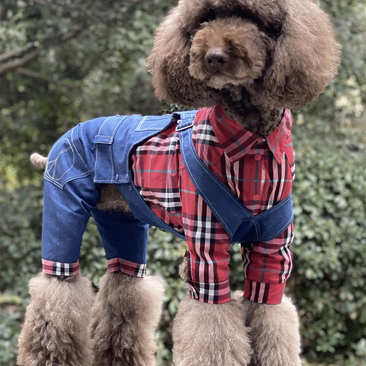 哈尼原创设计巨贵金毛拉布拉多哈士奇大型犬狗狗潮牌衣服衬衫