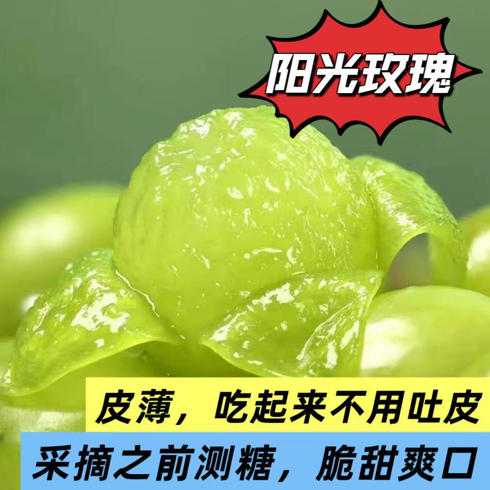 嗷嗷甜的葡萄正宗阳光玫瑰