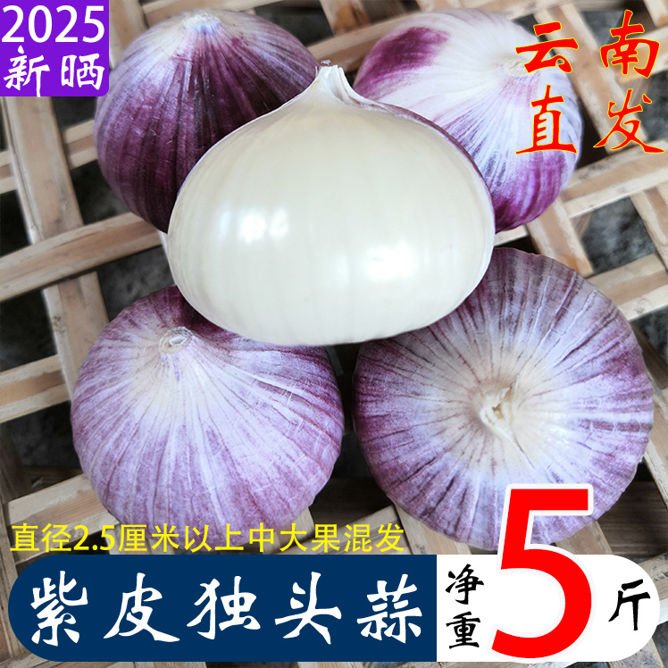 云南新鲜晒干独头蒜5斤紫皮大蒜