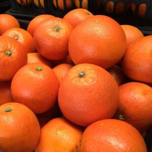 新鲜脐橙10大果纽荷尔橙子当季水果湖南麻阳非赣冰糖甜橙子