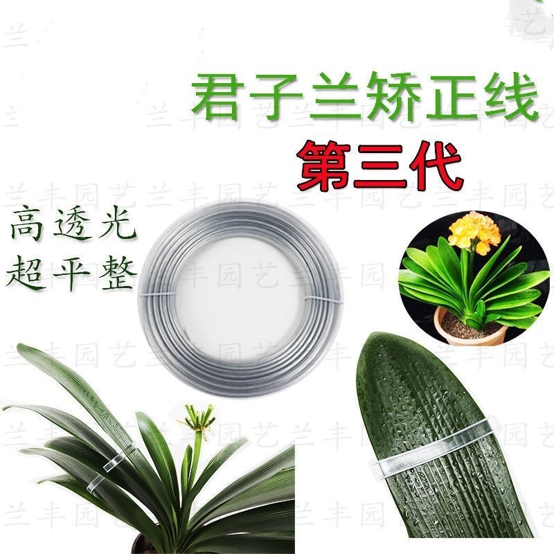 君子兰叶片矫正线透明扶正带矫正器整形修型夹子定型线防跑偏工具