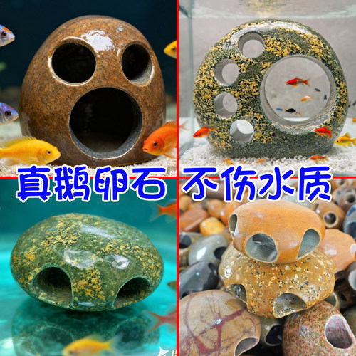 小鱼躲避洞穴（一物一拍）