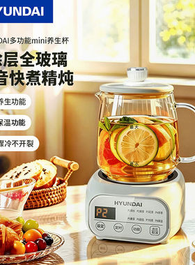 养生壶办公室玻璃保温全自动煮茶
