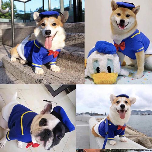 唐老鸭法斗博美衣服柯基柴犬公主