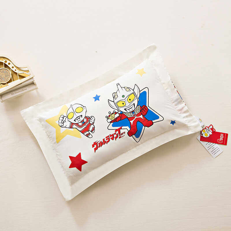 纯棉正品卡通儿童枕头3-6岁9小学生幼儿园午睡专用四季通用枕芯套