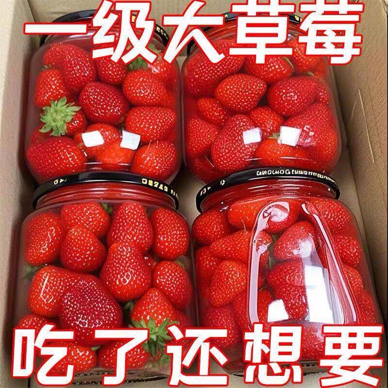 【草莓罐头】新鲜水果草莓罐头玻璃瓶510g山东特产整箱黄桃罐头