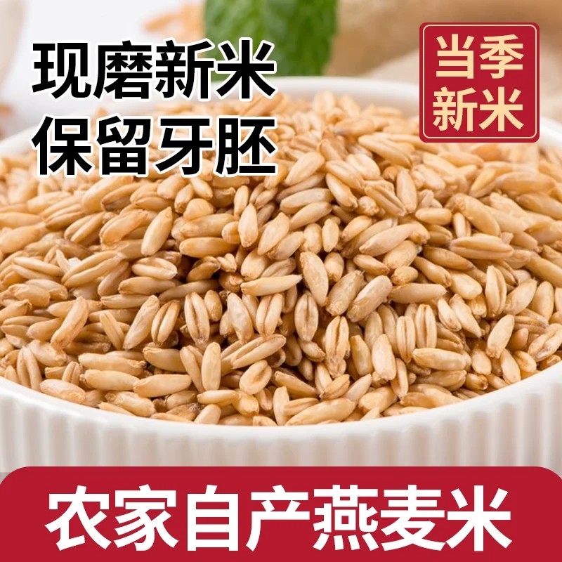 新货燕麦米农家自种今年燕麦米燕麦仁全胚芽五谷杂粮营养健康早餐