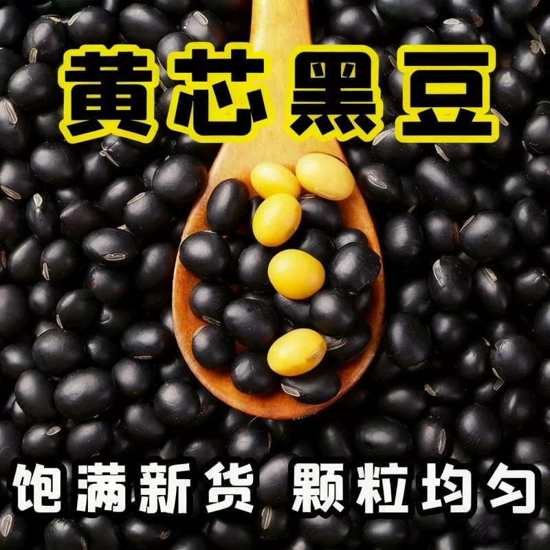 5斤黄心小黑豆农家自产纯天然非转基因打豆浆专用药用杂粮新货