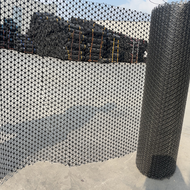 土工格栅养鸡鸭鹅围栏网防护网漏粪鱼塘果园圈玉米网格塑料养殖网