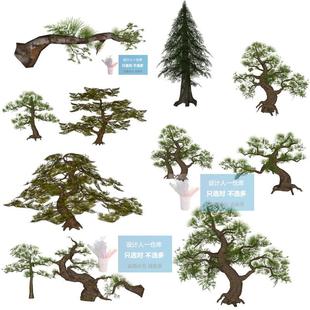 新中式 日式 庭院植物种植sketchup 松树 罗汉松su模型 杉树su
